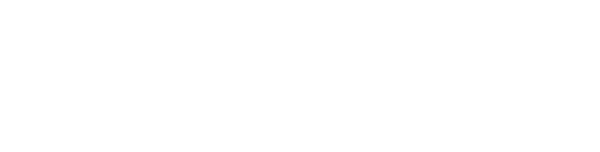 Zaunteam